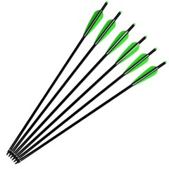 12Pcs Aluminum Crossbow Bolts 22» Target Hunting Practice Arrows for Outdoor