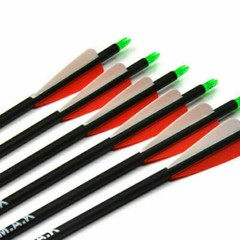 28/30″ Carbon Arrow Practice Hunting Removable Tips for Compound & Recurve Bow