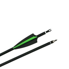 12Pcs 30 Inch Carbon Arrow Practice Hunting Arrow for Compound Bow Recurve Bow