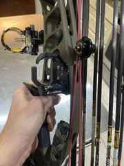 Hoyt VTM 31