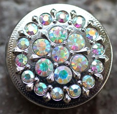 Set of 4 Conchos 1″ Dia Rhinestone Horse Saddle Western Bridle Crystal Co162