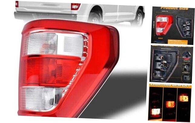 Tail Light for 2021-2024 Ford F-150 XL Right Passenger Rear Lamp ML3Z13404E