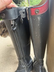 Kingsley Lexington 2 Equestrian Tall Boots Dressage