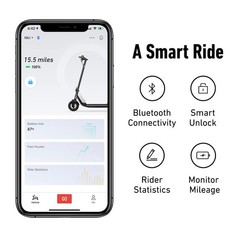 NIU KQi1 Pro Electric Scooter 250W Power, 15.5 Miles Range, Portable