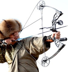 30-70Lbs Compound Bow Kit, 19″-30″ Draw Length For Adults Hunting Target RH