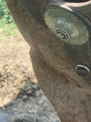 Duncan Vezain Custom Wade Saddle