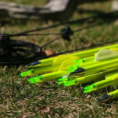 Carbon Arrow Archery 30inch Bright Colors Hunting Target Practice Arrows for …