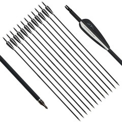 55lbs 53″ Takedown Recurve Bow Carbon Arrows Kit Archery Hunting Shooting Target