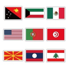 30Pcs Random Flags of The World Country Olympic Banners Flag Waterproof Sticker