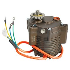 High Torque 72V 1000W Brushless DC Motor Kit Go Kart Motor with Gear box Buggy