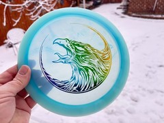 Champion FLAT Firebird Fierce Falcon Disc Golf Swirl Innova Artist Limited #6036