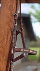 Vintage MacPherson Los Angeles Sterling Silver Show Halter & Matching Lead Shank
