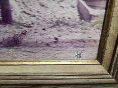 Large Vintage Dick Pieper Cutting Horse Picture Framed 16×20 Great Action Shot