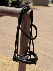 Black Leather Bridle2Fit English Horse Bridle