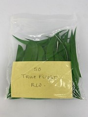 50 PACK TrueFlight 5″ Inch Archery Feathers Right Wing Parabolic Cut Green NEW