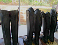 NEW Justin “Windshire” Fields Ladies Tall Riding Boot Equestrian Sz 6.5-7.5