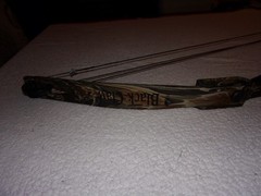 Bear Archery Black Claw Compound Bow RARE NICE