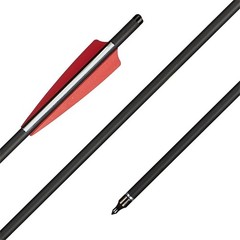 20″ Crossbow Bolts Carbon Arrows OD8.8mm Half Moon Nocks / LED Nocks Set Hunting