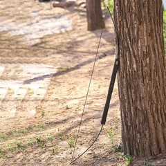 60lbs Foldable Longbow Archery 60″ Adult Hunting Fishing Survival Straight Bow