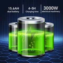 3000W/67.2V 15.6AH Dual Motor 20in Off Road Electric Self Balance Vehicle APP 6h
