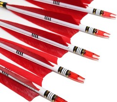 12PCS Red Turkey Feather 31 inches Carbon Arrows Replacement X-Large, red