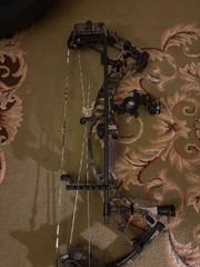hoyt vtm 34 fully setup ultrarest with fast eddy and the quiver with new string
