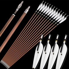 12X 31″ Pure Carbon Arrows Archery SP340-600 Compound Recurve Bow Tips Hunting