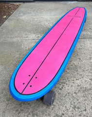 60″ BIRCH Longboard Skateboard Cruiser Complete Setup with Paris Trucks NEW