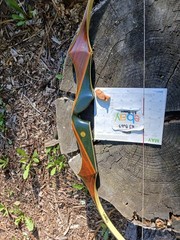 Vintage Bear Archery Tamerlane recurve 32# 1969