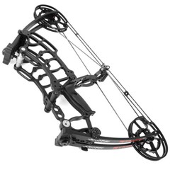 40-65lbs Compound Bow Set Short Axis Steel Ball Dual Use Archery Fishing Hunting