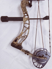 PSE Brute NXT Compound Bow / USA SHIPPING ONLY