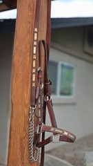 Vintage MacPherson Los Angeles Sterling Silver Show Halter & Matching Lead Shank