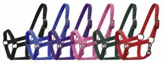 BLACK GREEN PINK PURPLE RED Nylon Adj Halter w Clip MINI Horse or PONY 5946