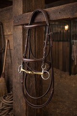 Horse 6″ SS Hanging Cheek Lozenge Baucher Bit Dog Bone 6″ Mouth 35188E