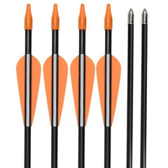 Elong Fiberglass Arrows Archery 24 Inch Target Shooting Practice Safetyglass …