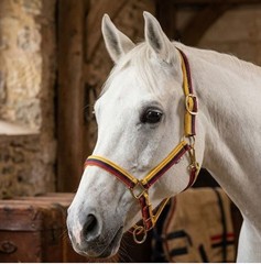 Horse Halter Multi Color Nylon Adjustable Durable Comfortable Equestrian Tack