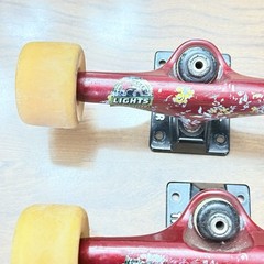 Thunder Tucks Trucks And Wheels With Flowers