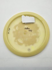 Innova PFN GlowChampion Teebird 2008 Doubles SC state championship 175g