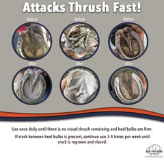 No Thrush Dry Powder Treatment for Horses by Four Oaks Farm Ventures – 2.5oz