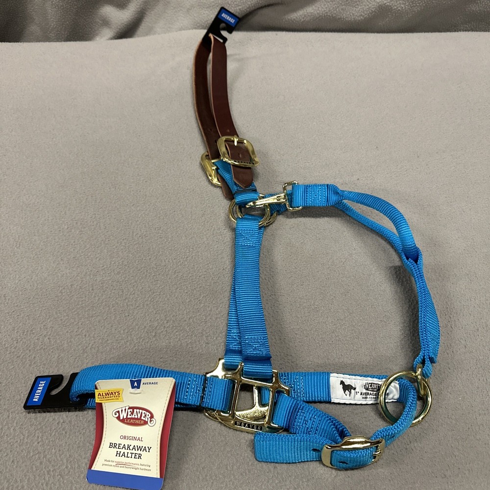 1″ Nylon Adjustable Leather Crown Halter Horse Teal Brass Average 35-6025-HB