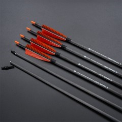 Archery Carbon Arrows Spine400 with Feather Set for Recurve/Compound Bow Hunting