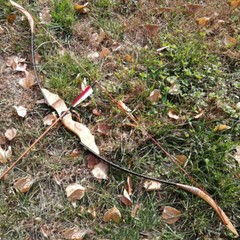 Archery Hunting 54in 40lbs Takedown Recurve Bows RH Wooden Adult Target Practice