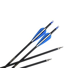 12/24pcs 31″/30″ Carbon Arrows Quiver 100 Grain 2 Blade Broadheads Hunting Shoot