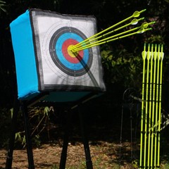Carbon Arrow Archery 30inch Bright Colors Hunting Target Practice Arrows for …