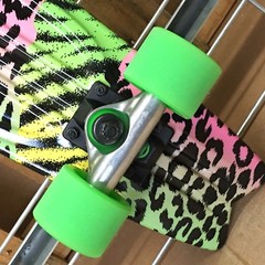 New Globe Bantam Graphics ST Rad Cat Complete Skateboard – 23in