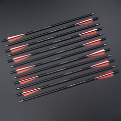 12Pcs 20Inch Crossbow Bolts Carbon Arrows /12Pcs Hunting Broadhead /Arrow Quiver
