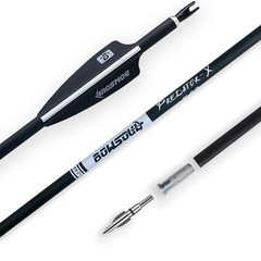 BOWSOUL 31Inch Carbon Arrows for Target Practice Hunting Arrow with Removable