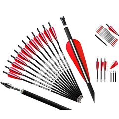 Eco-Friendly Carbon Crossbow Bolts – Consistent 12-Pack – Perfect for Practice