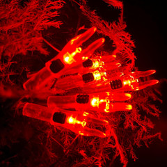 12 Pack X Lighted Nocks Universal Fit for Arrows with ID .204/.233/.244/.246 Lig