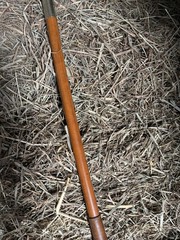 Vintage Fox Hunting Antler Handle Riding Crop